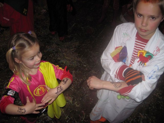 Carnavalsbal 2011