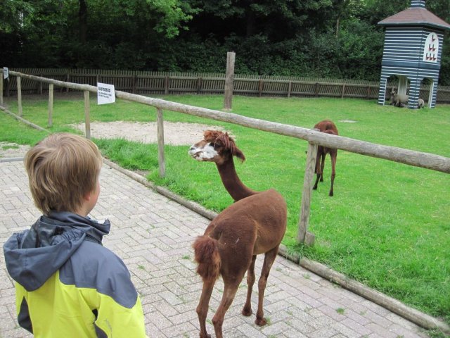 Scouting fundays 2011