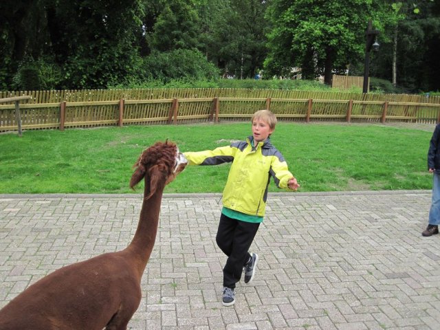 Scouting fundays 2011