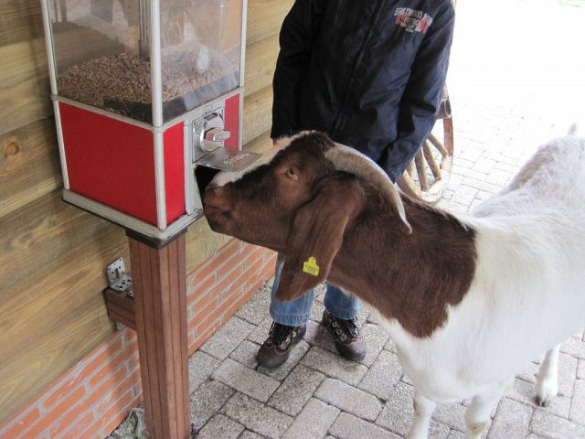 Scouting fundays 2011