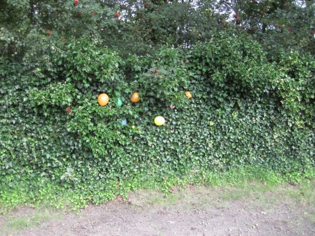 Kijkdag luchtverkenners 2011