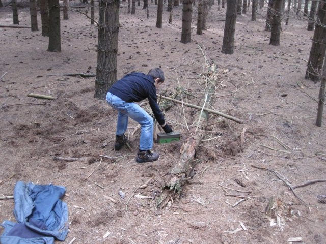 Verzameling 2011