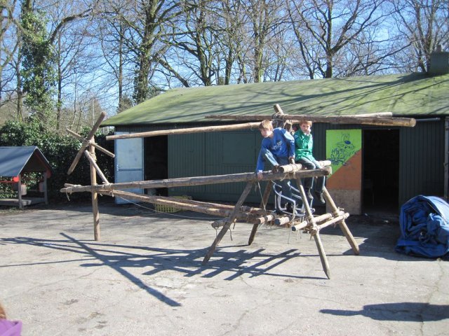 Verzameling 2011