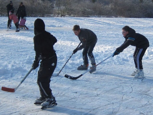 Schaatsen luchtverkenners 2012