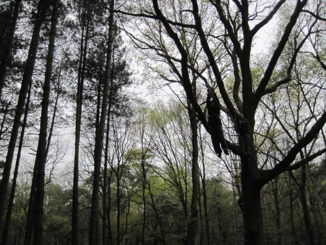 Voorjaarsweekend verkenners