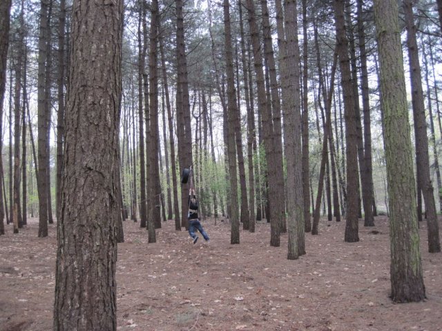 Voorjaarsweekend verkenners