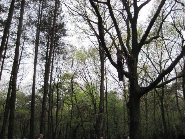 Voorjaarsweekend verkenners