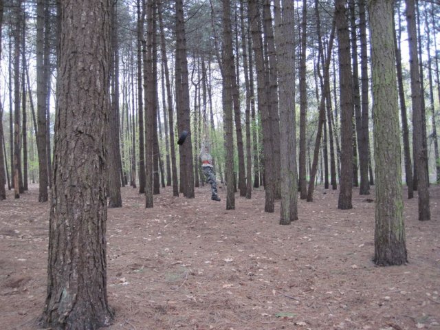 Voorjaarsweekend verkenners