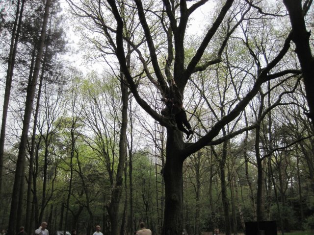 Voorjaarsweekend verkenners