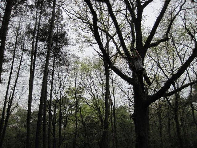 Voorjaarsweekend verkenners