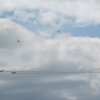 Airshow Seppe 2012