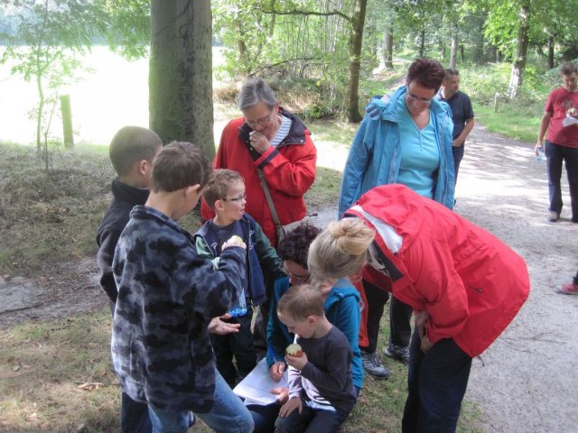 Walk & bingo 2012