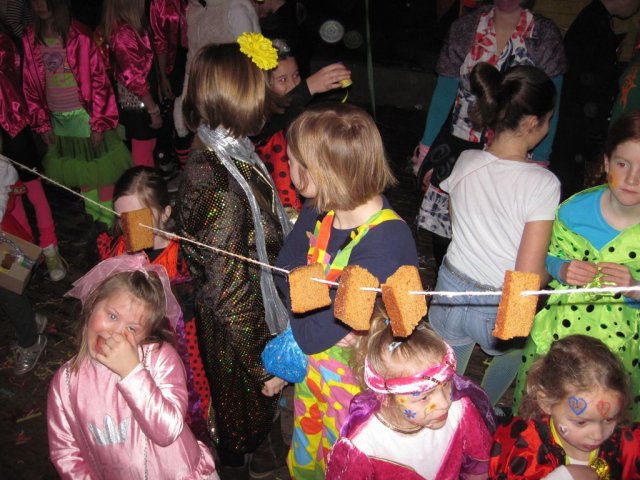 Carnavalsbal 2013