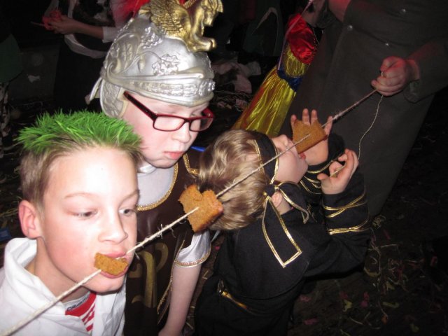 Carnavalsbal 2013