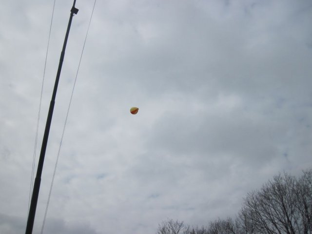 Luchtballonnen luchtverkenners 2013