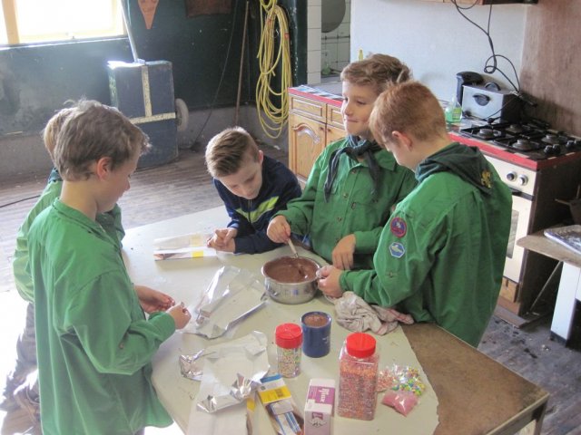 Welpen-installatie 2013