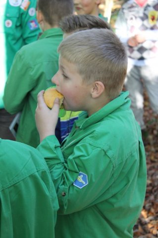 Welpen-installatie 2013