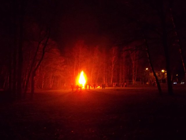 Sintermikmak scouts 2013