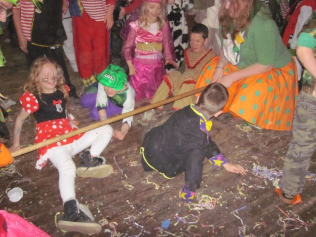 Carnavalsbal 2014