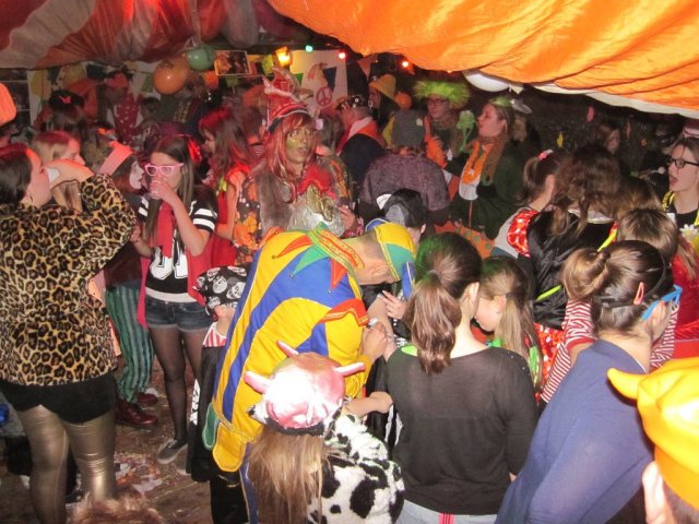 Carnavalsbal 2014