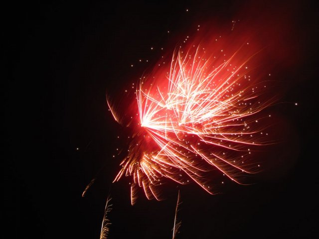 Surprise luchtverkenners 2014