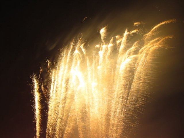 Surprise luchtverkenners 2014