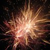 Surprise luchtverkenners 2014