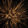 Surprise luchtverkenners 2014