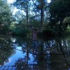 Zomerkamp 2015