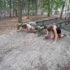 Zomerkamp 2015