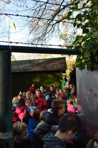 Sinterklaasviering 2015