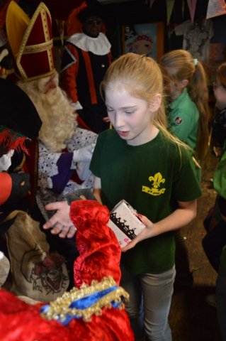Sinterklaasviering 2015