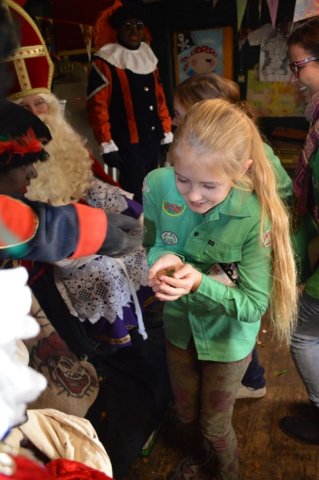Sinterklaasviering 2015