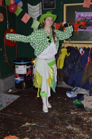 Carnavalsbal 2016