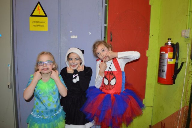 Carnavalsbal 2016