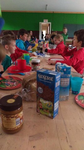 Voorjaar 2017
