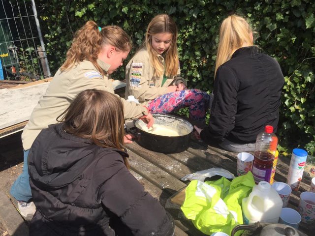 Voorjaar 2017