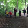 Voorjaar 2017