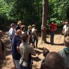 Voorjaar 2017