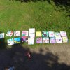 Zomer 2017