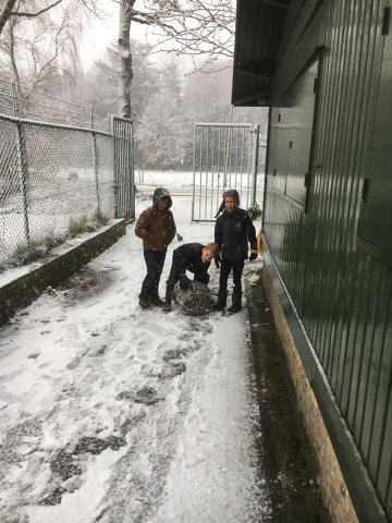 Winter 2017