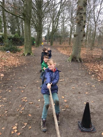 Voorjaar 2018