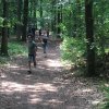 Zomer 2018