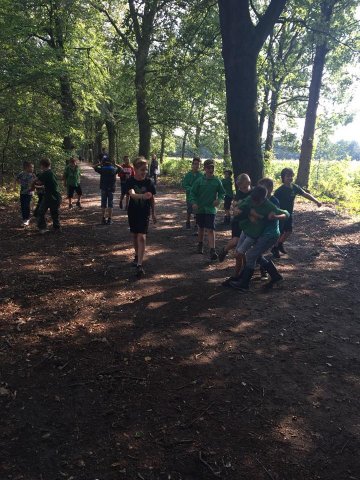 Nazomer 2018