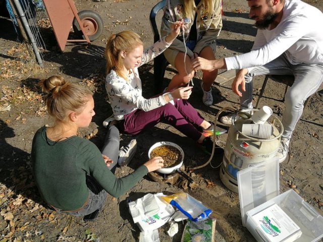 Herfst 2018