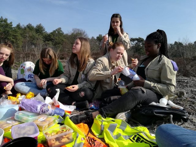 Voorjaar 2019