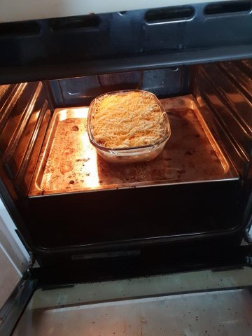 Voorjaar 2019