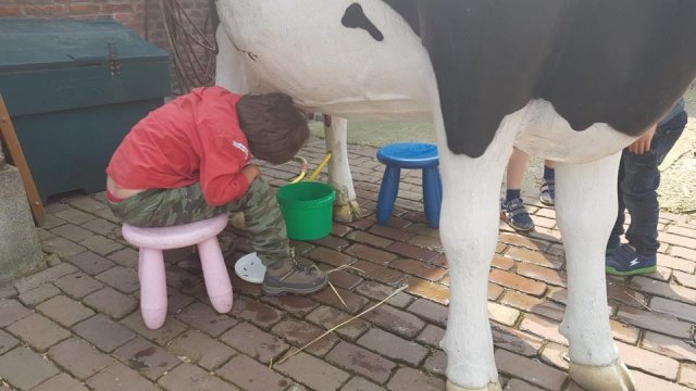 Zomer 2019