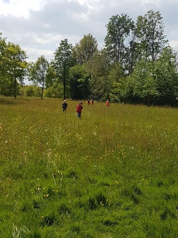 Zomer 2019