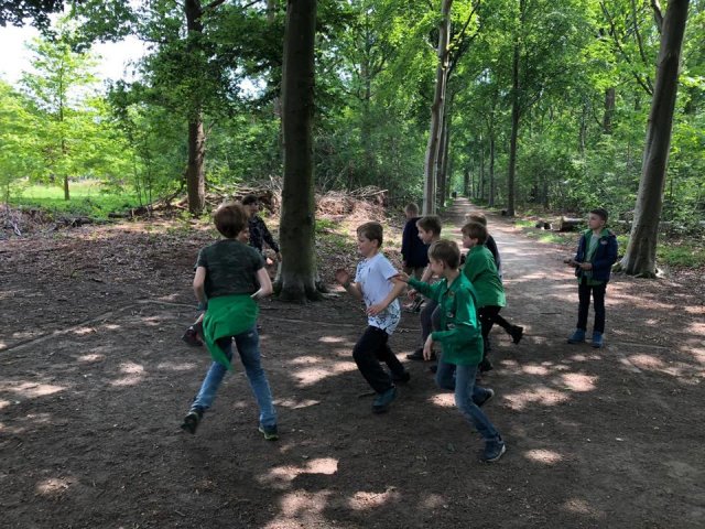 Zomer 2019